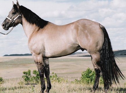 QH.jpg